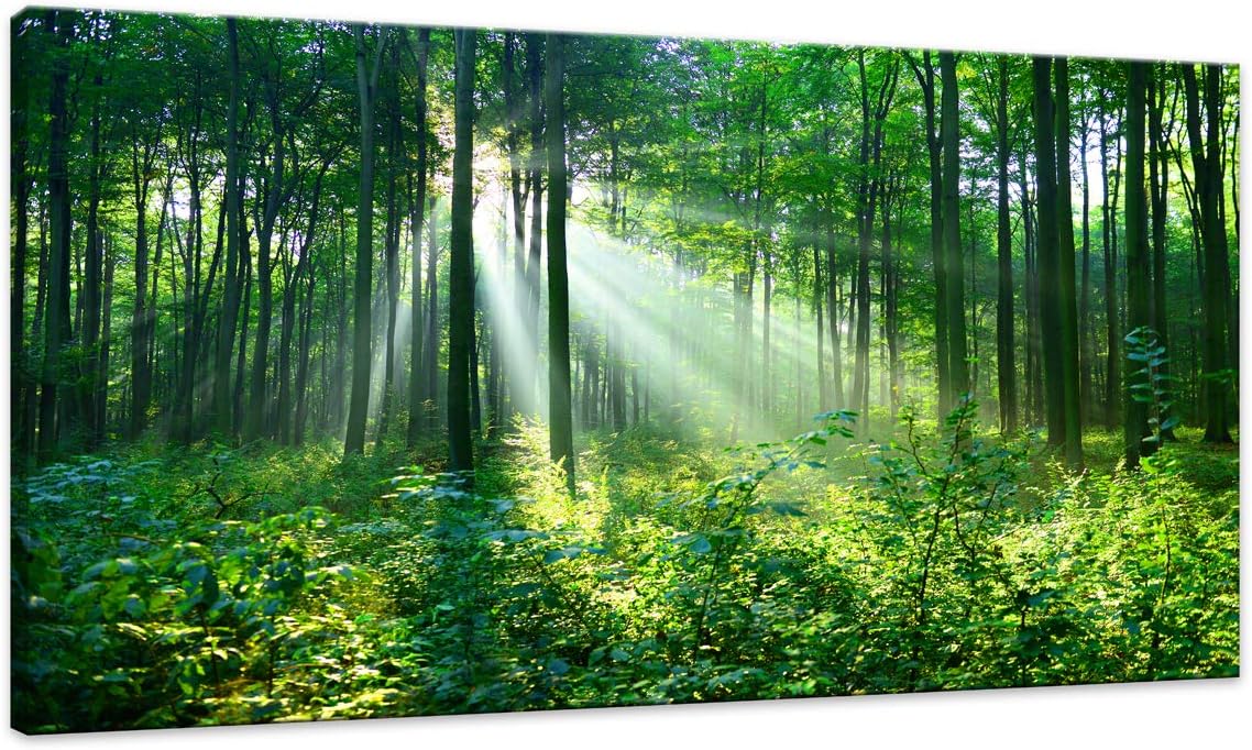 Canvas Wall Art Green Forest Wall Decor Nature Painting Large Artwork Pictures Green trees Woods Landscape for Living Room Office Home Bedroom Fantastic Decor of Sunshine Peeking Through Rainforest