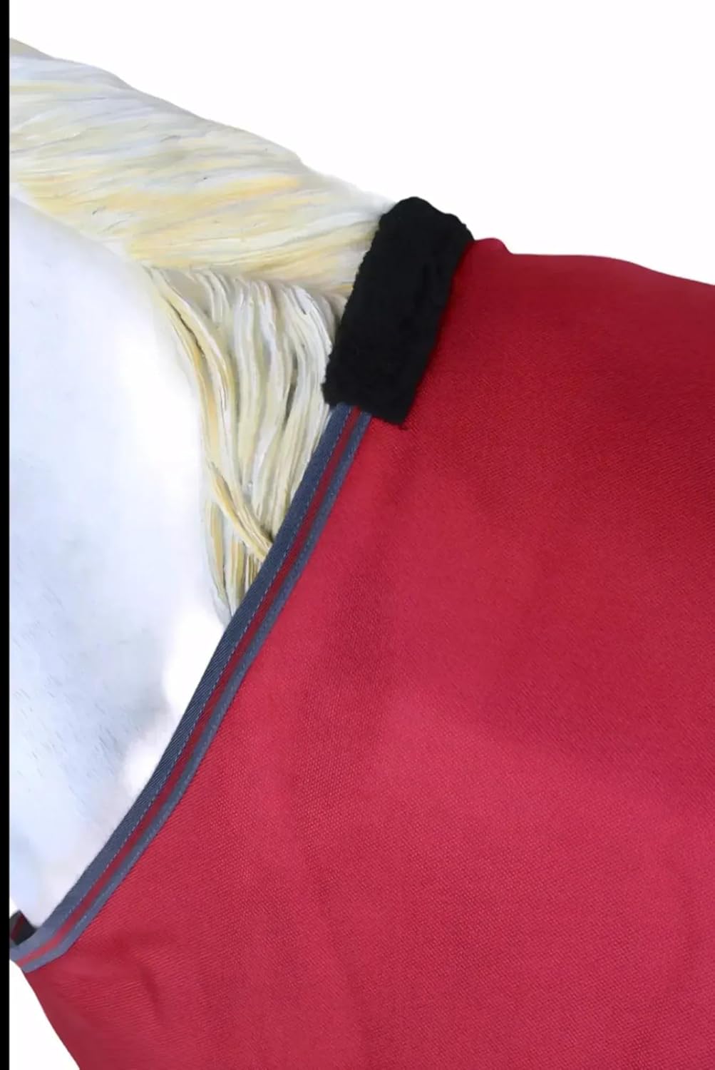 Challenger 1680D Horse Turnout Waterproof Heavy-Weight Winter Blanket Wine 6EE10