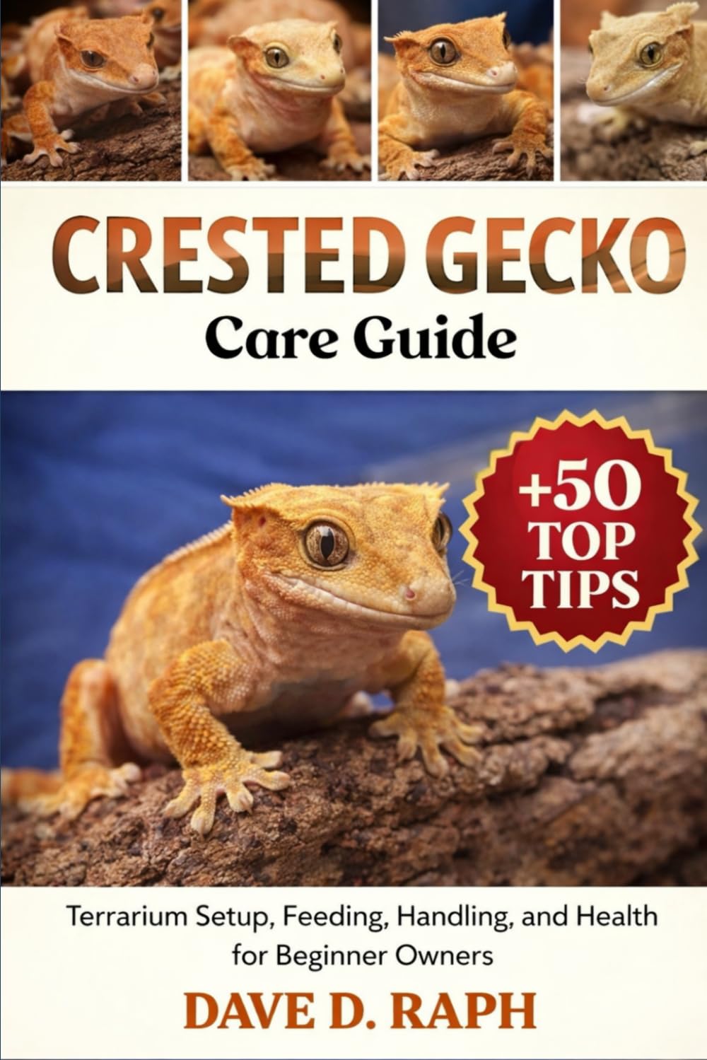 Crested Gecko Care Guide: Terrarium Setup, Feeding, Handling, and Health for Beginner Owners
