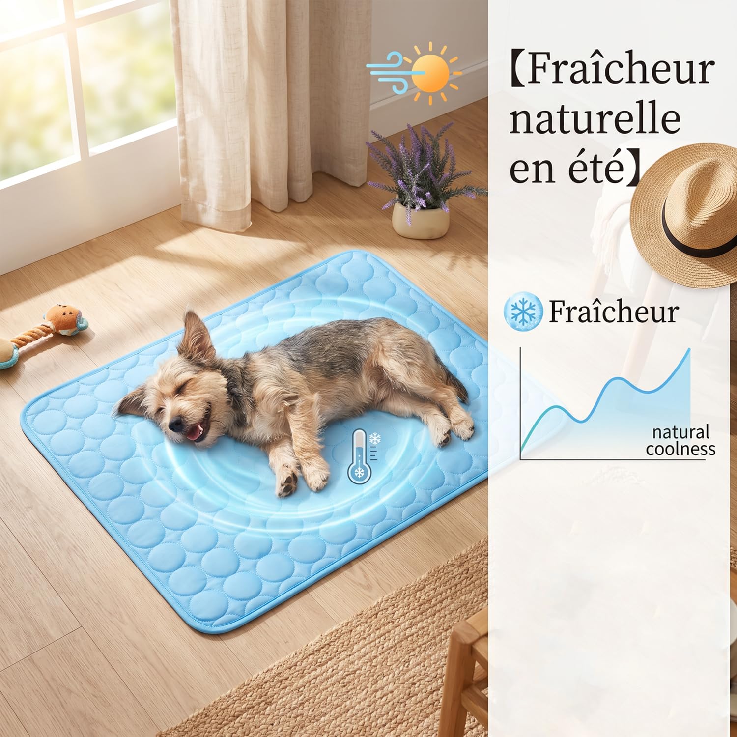 Coolnap Pour Chien Tapis RafraîChissant Chien Coolnap | Le Tapis Qui Reste Frais — MêMe AprèS Des Heures Sous Votre Chien. Tapis Pour Chien Coolnap Moelleux Et Confortable Pour L'éTé (Gris, M)