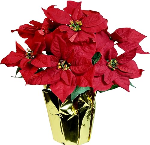TenWaterloo Planta de Pascua roja en maceta de 15 pulgadas con 7 flores, flor de Pascua artificial en maceta, decoración de Navidad, maceta envuelta TenWaterloo Planta de Pascua roja en maceta de 15 pulgadas con 7 flores, flor de Pascua artificial en maceta, decoración de Navidad, maceta envuelta