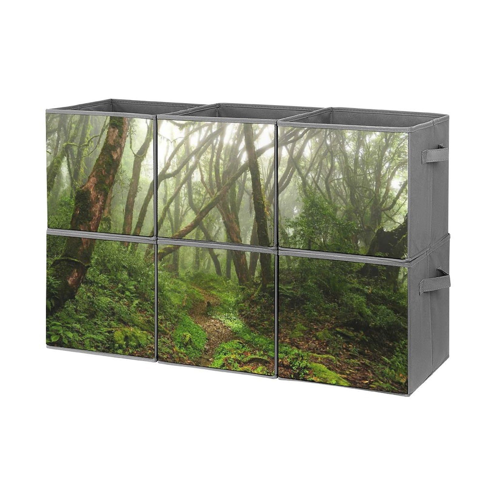 Forest Spooky Tropical Exotic Fog Jungle in Rainforest Nepal Climate Oxford Cloth Storage…