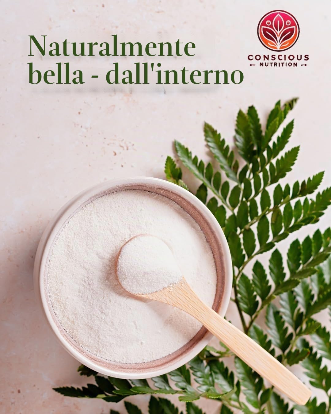 Polvere di collagene - collagene idrolizzato peptidi tipo 1, 2, 3 - Polvere proteica proteica - Senza additivi - Neutro al gusto - Salice - Testato da laboratorio - Made in