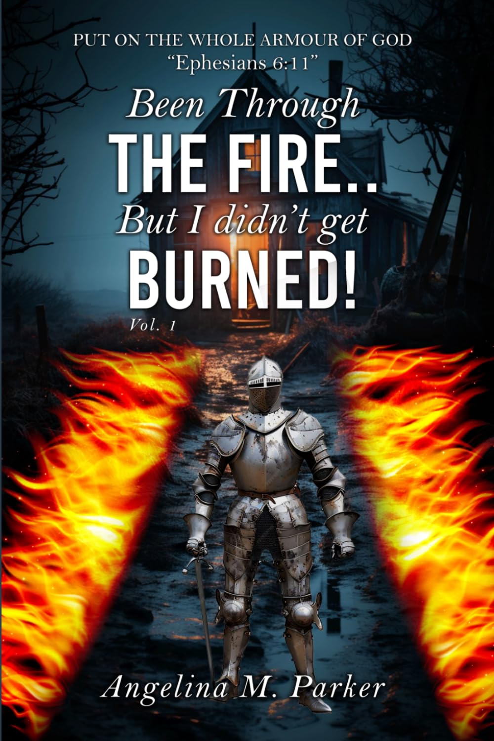 Been Through The Fire..But I Didn’t Get Burned!!!: Volumn 1