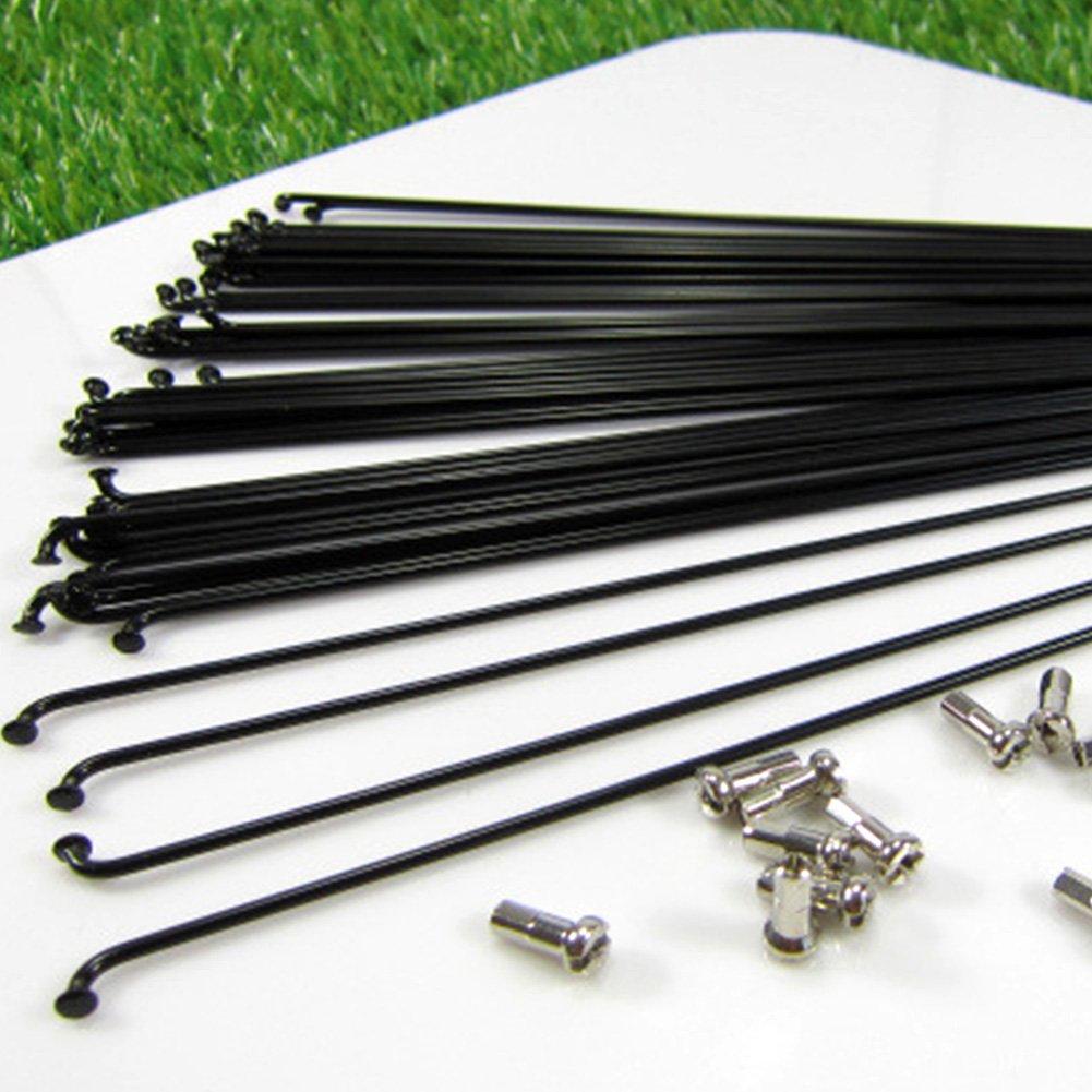 10 raggi per bicicletta in acciaio inossidabile, accessori per biciclette (Nero, dimensione: 170 mm, 10 pezzi)