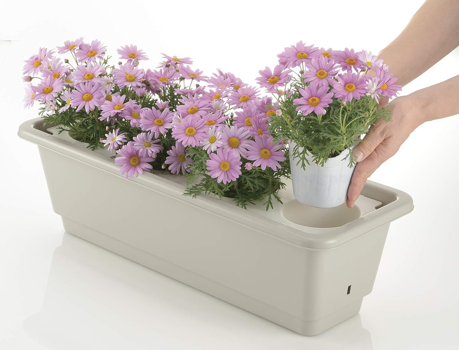 RICHELL Pot In Planter 70206