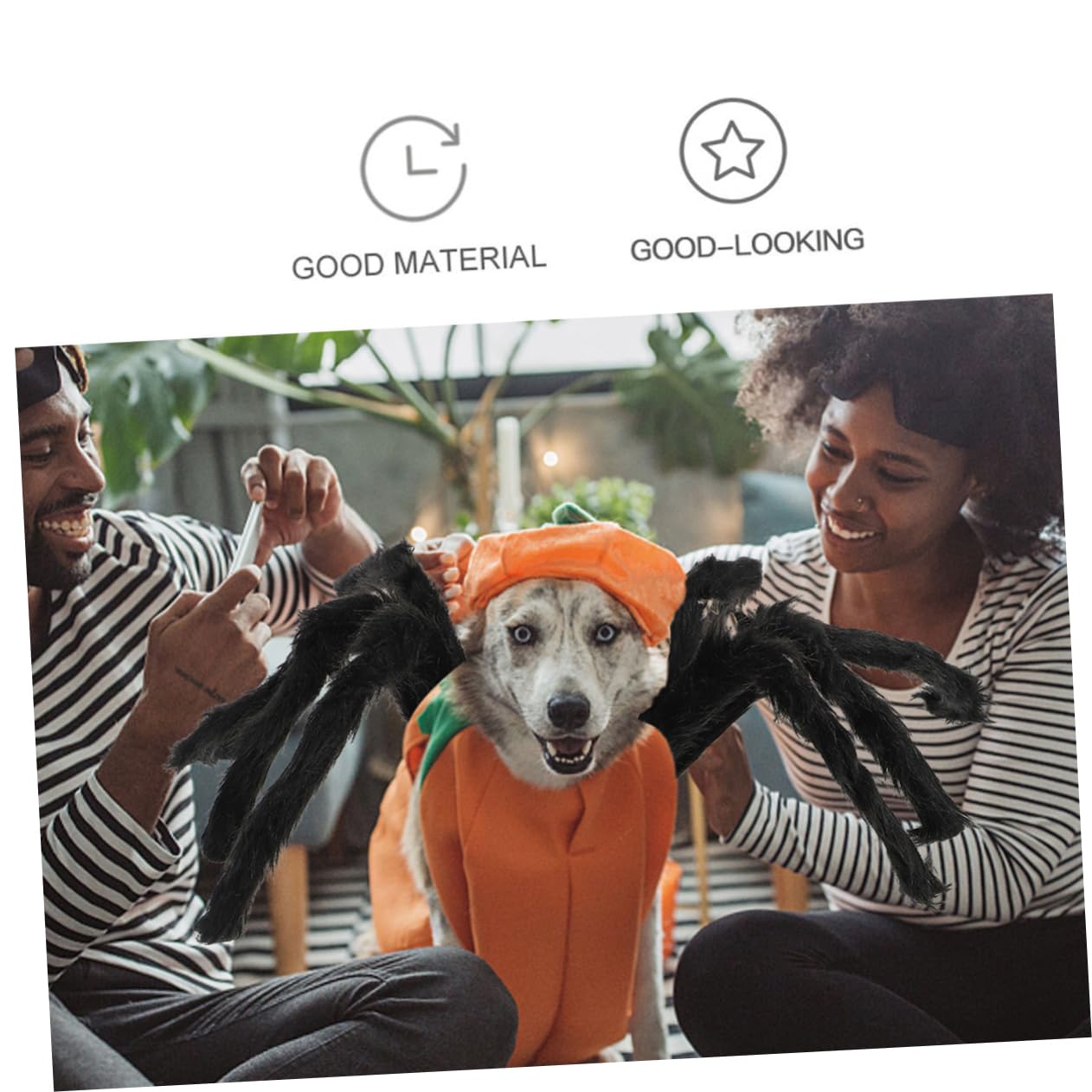 INOOMP 3piezas Disfraz De Halloween para Mascotas Traje De Araña Ocho Patas Simuladas Ropa Divertida y Cómoda para Perros y Gatos Decoración Halloween para Fotos y Fiesta