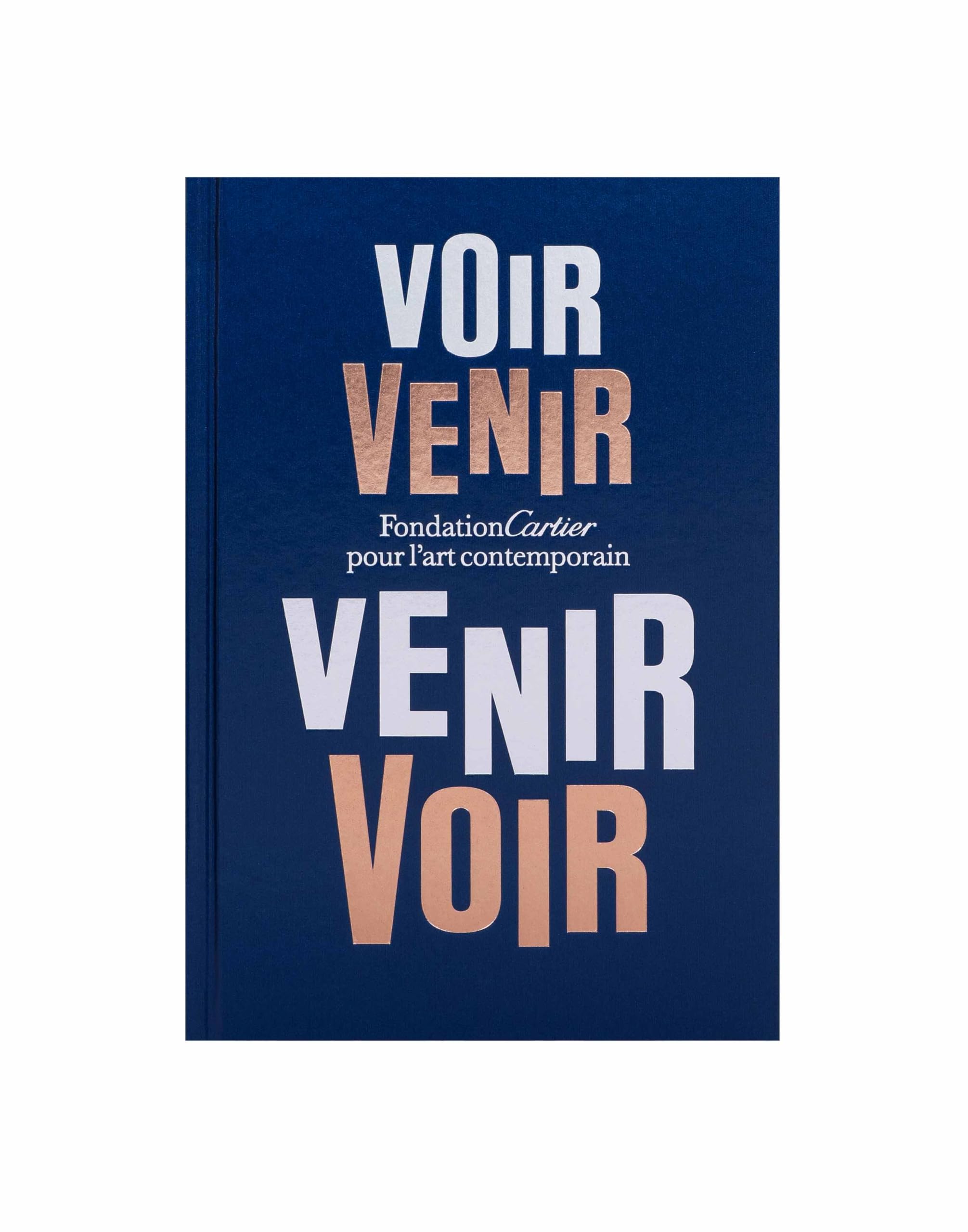 Fondation Cartier pour l'art contemporain: Voir Venir, Venir Voir