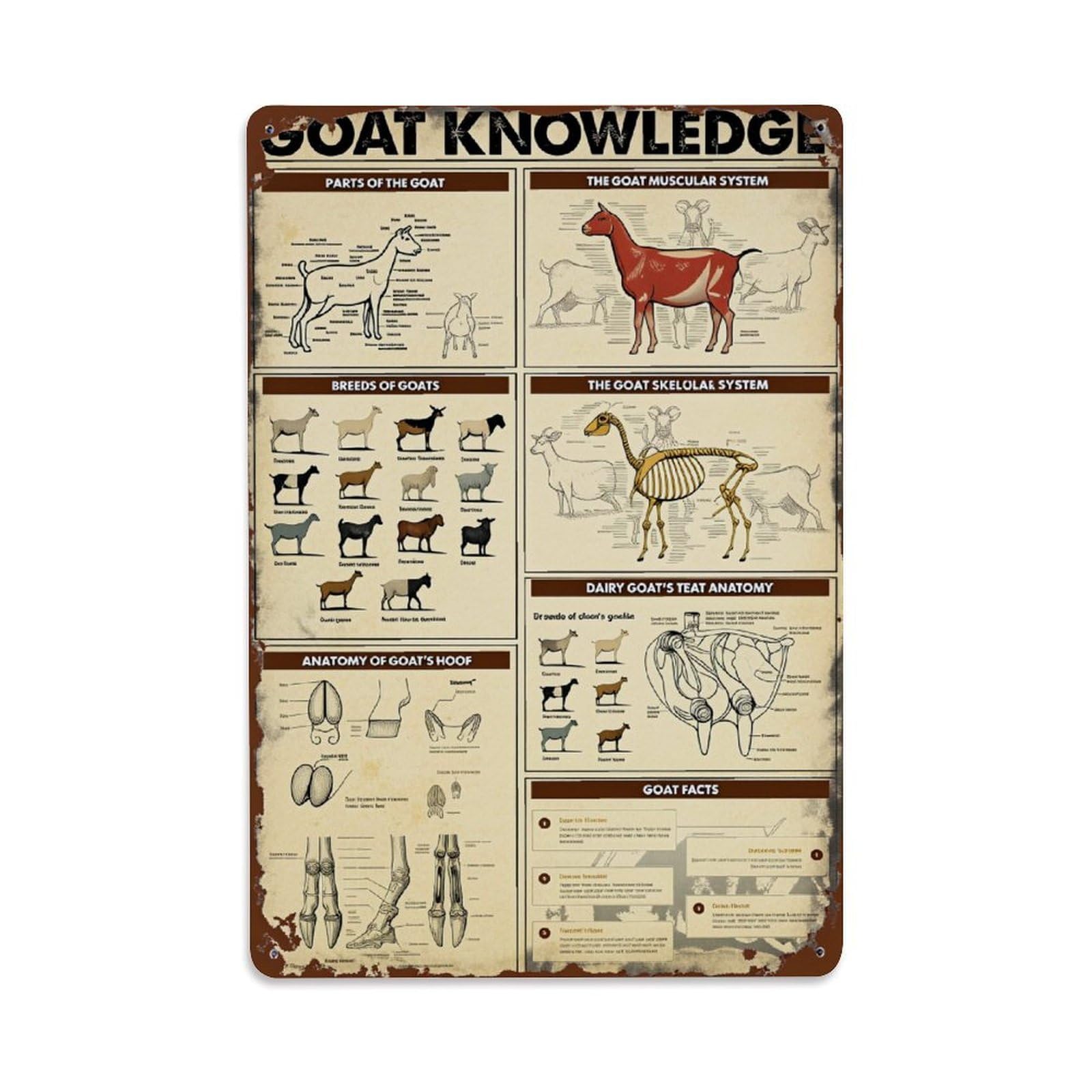 Goat Anatomy Educational Poster Tin Sign Vintage Metal Poster, Home Bar Garage Man Cave Cafe Indoor & Outdoor Wall Decoration 8x12Inches