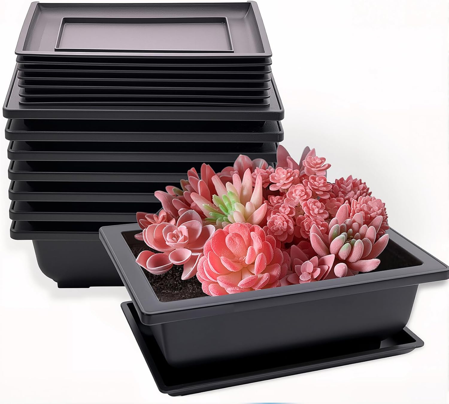 8 Pack Bonsai Training Pots with Drainage Trays, 9 Inch Plastic Bonsai Tree Pot Planter Rectangular Plants Growing Pots for Garden, Yard, Living Room, Porch, Balcony