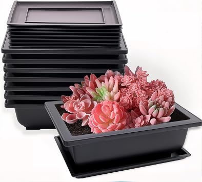 8 Pack Bonsai Training Pots with Drainage Trays, 9 Inch Plastic Bonsai Tree Pot Planter Rectangular Plants Growing Pots for Garden, Yard, Living Room, Porch, Balcony