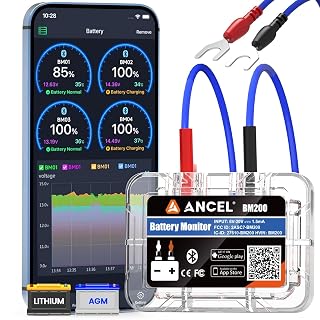 ANCEL BM200 Batteriewächter mit Bluetooth Dashcam