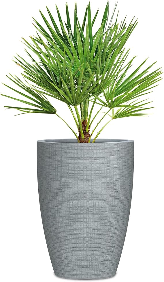 scheurich Planter, Stony Grey, 40