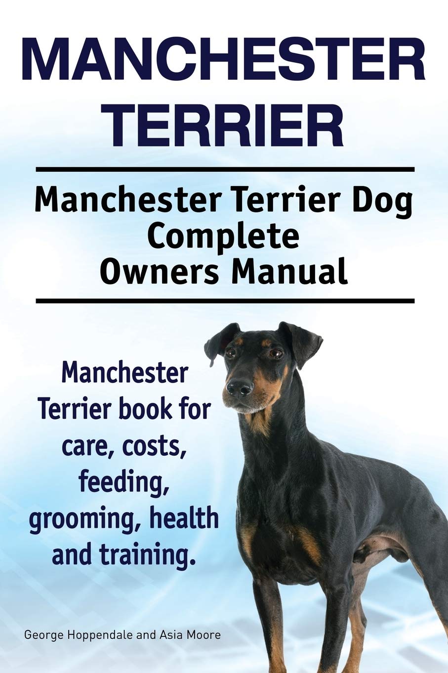 Manchester Terrier. Manchester Terrier Dog Complet