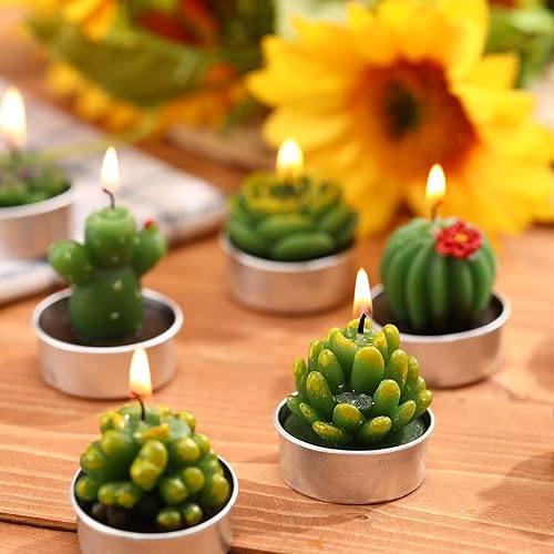 Miniatura 5 de 12 Piezas Velas de Suculentas Novedosas Hechas a Mano Velas de Té de Cactus Delicadas y con Estilo Velas de Plantas Mini Velas de Cactus para