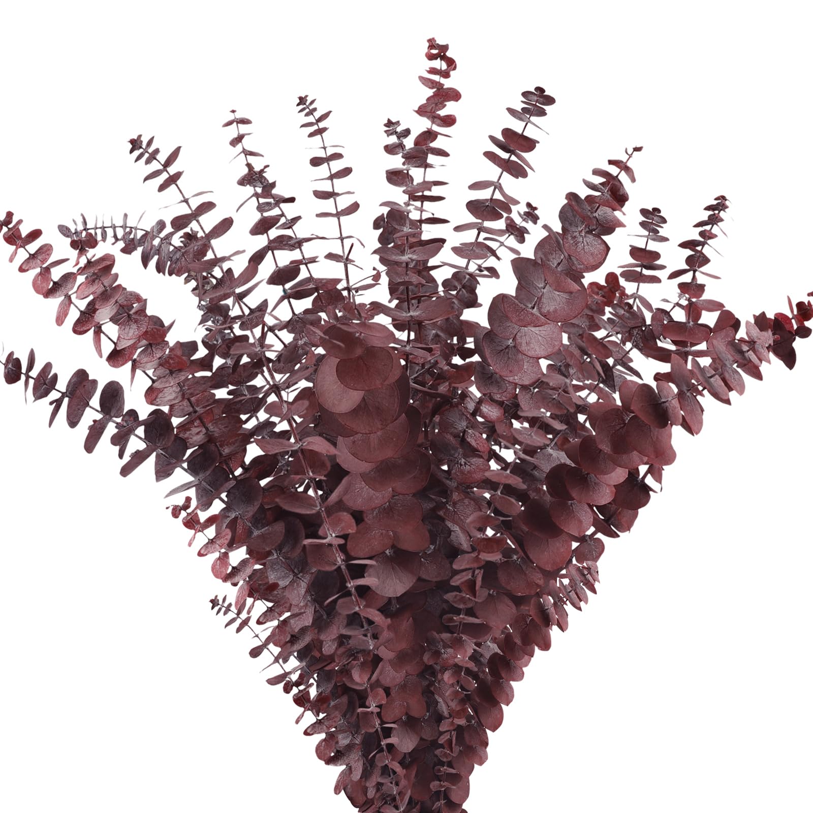 20 tiges d'eucalyptus séchées rouges 43 cm pour compositions florales
