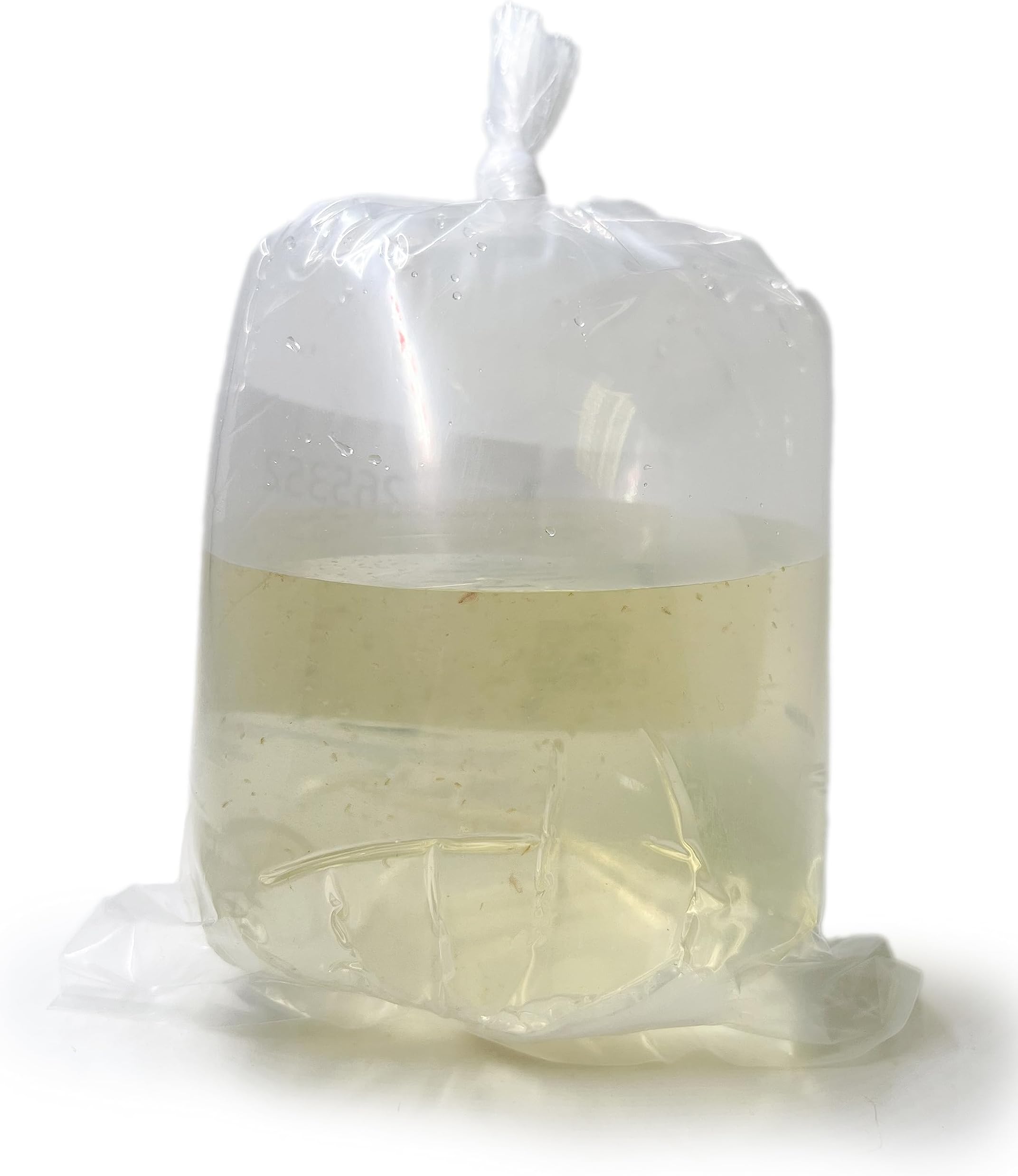 Aquatic Arts Live Daphnia Magna 300PK, Fish Food, Freshwater Crustaceans Plankton for Freshwater Aquarium, Food for Betta Fish Tank Live Freshwater Fish Food, Fish Tank Cleaner