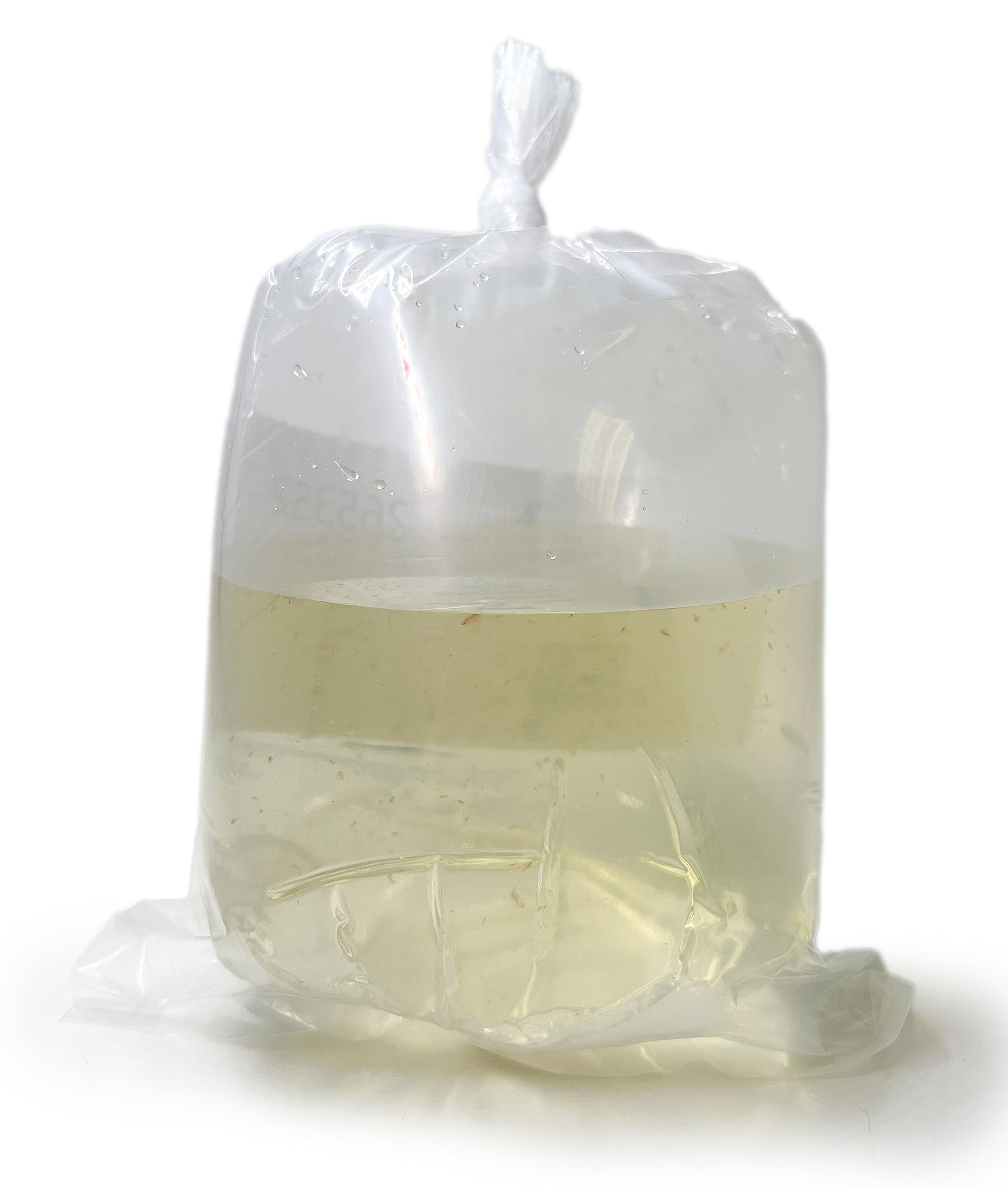 Aquatic Arts Live Daphnia Magna 200PK, Fish Food, Freshwater Crustaceans Plankton for Freshwater Aquarium, Food for Betta Fish Tank Live Freshwater Fish Food, Fish Tank Cleaner