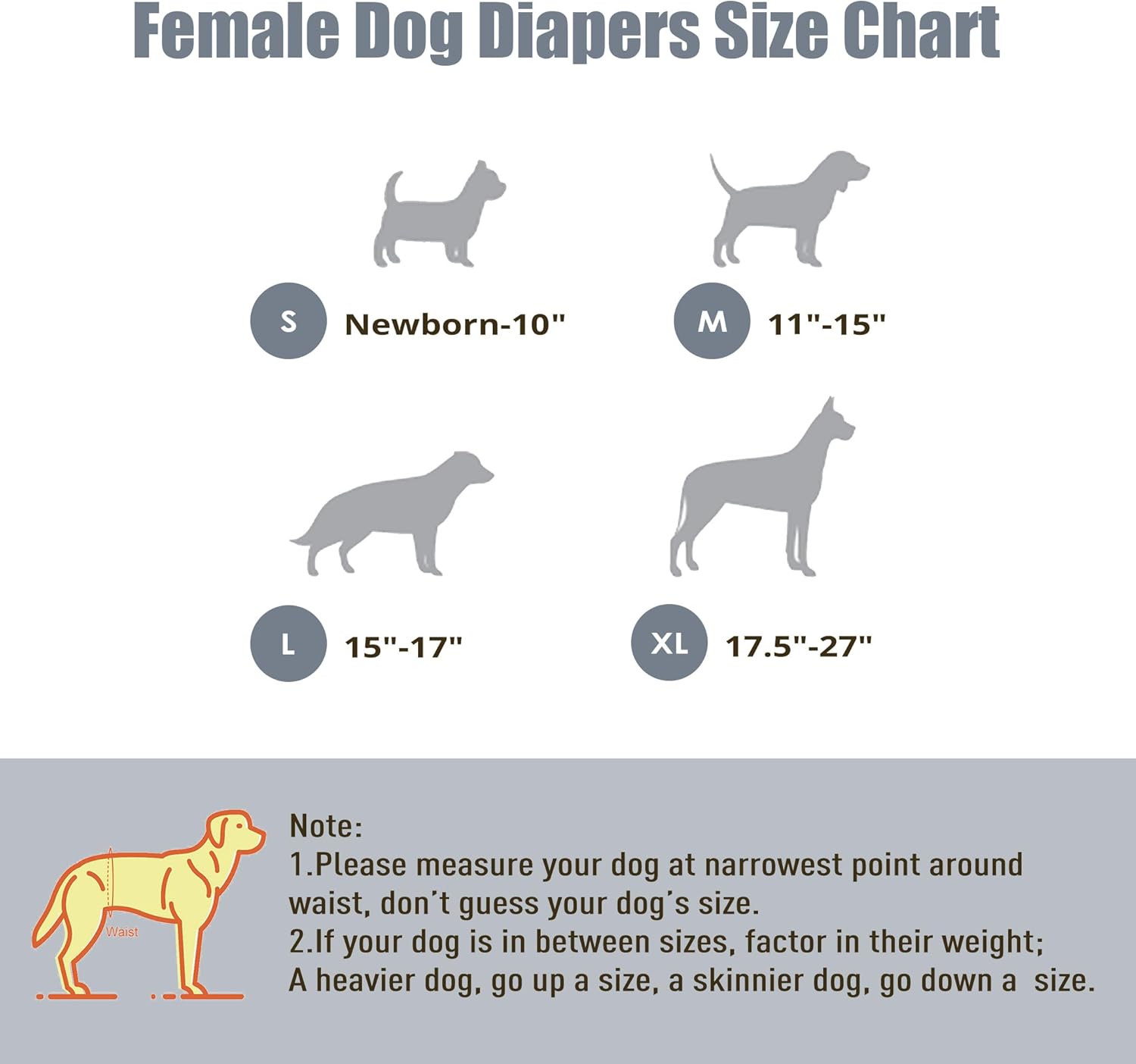 Top-Reviewed: Wegreeco Washable Dog Diapers for Worry-Free Days!