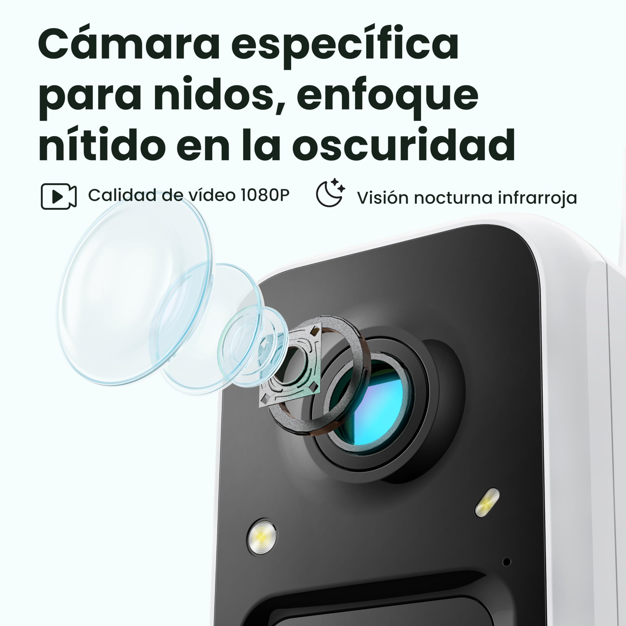 Birdfy Pajarera con cámara, nido con cámara, cámara de 2 millones de píxeles, para exteriores, observación en tiempo real de la construcción de nidos y cría de aves, detección de comportamiento de