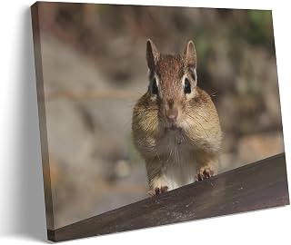 A Cute Eastern Chipmunk Poster Canvas Wall Art Home Wall Decor Bedroom Aesthetic Art Prints Posters Decorations08x12inch(20x30cm) Frame-style