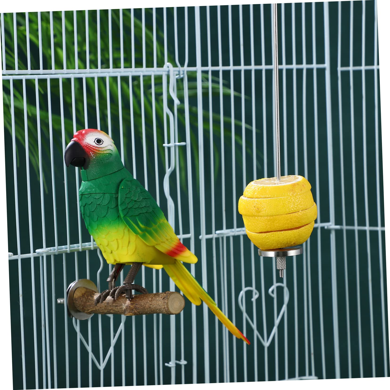 COLLBATH 4stücke Vogelspieße Für Obst Und Futterhalter Für Wellensittiche Papageien Und Kleintiere Für Gesunde Snacks Im Käfig