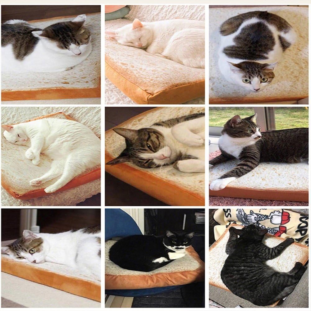 Soft Cat Cushion Bed Bread Pet Mattress Bed Mats Bedding Pad for Small Medium Dogs & Cats,Sleeping Resting Playing Reading Pillow (23.6''x23.6''x2.6'')