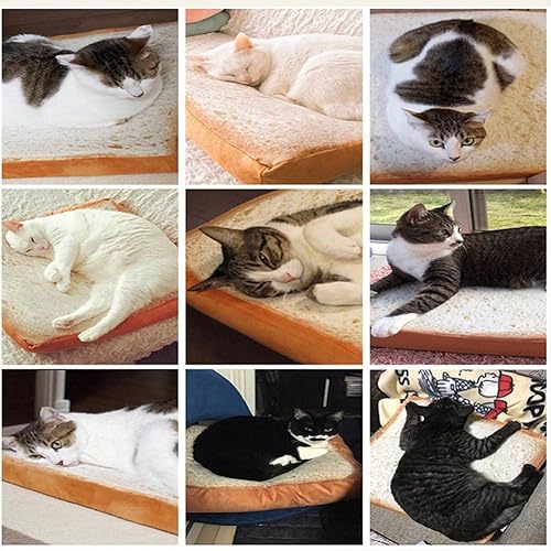 Miniatura 6 de Dofover Cojín suave para gatos, colchón de pan para mascotas, colchoneta para tostadas, para perros y gatos pequeños y medianos, almohada para