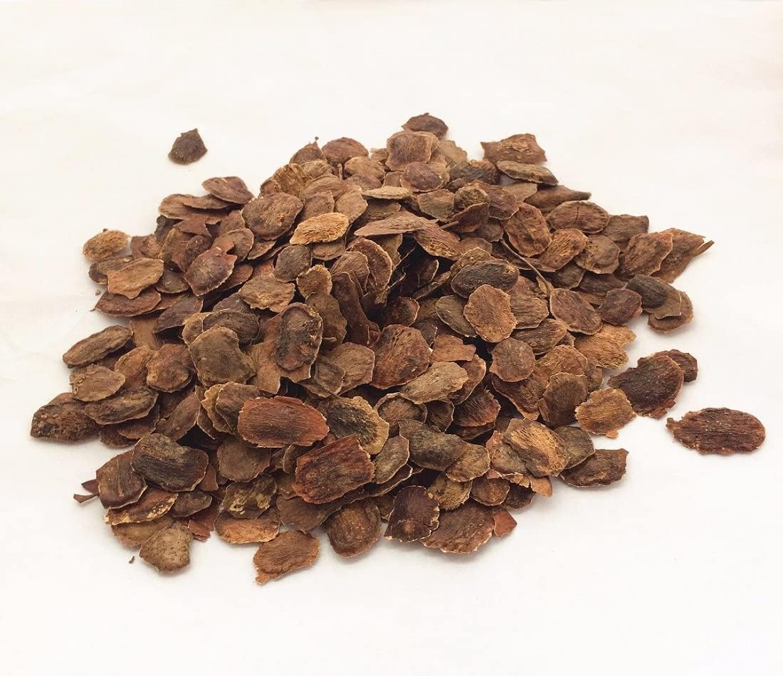 500g hainan High purity Dalbergia odorifera seeds Cocobolo Wood seeds