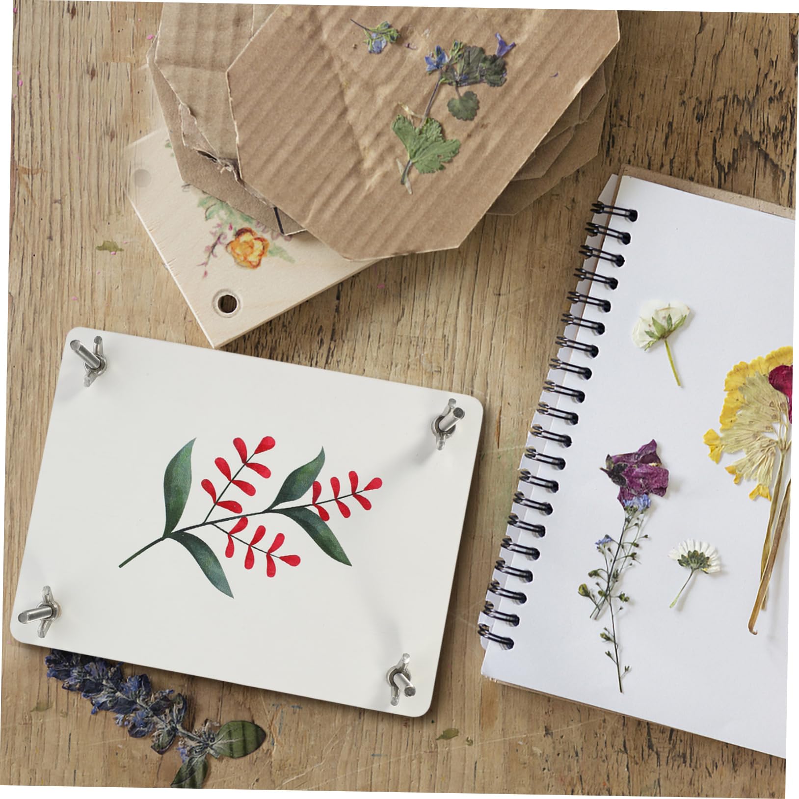 HAPINARY Blumenpress Satz Holz Klein mit Stabiler Platte Selbstgemacht Pflanzenpresse für Basteln Scrapbooking und Naturentdeckung