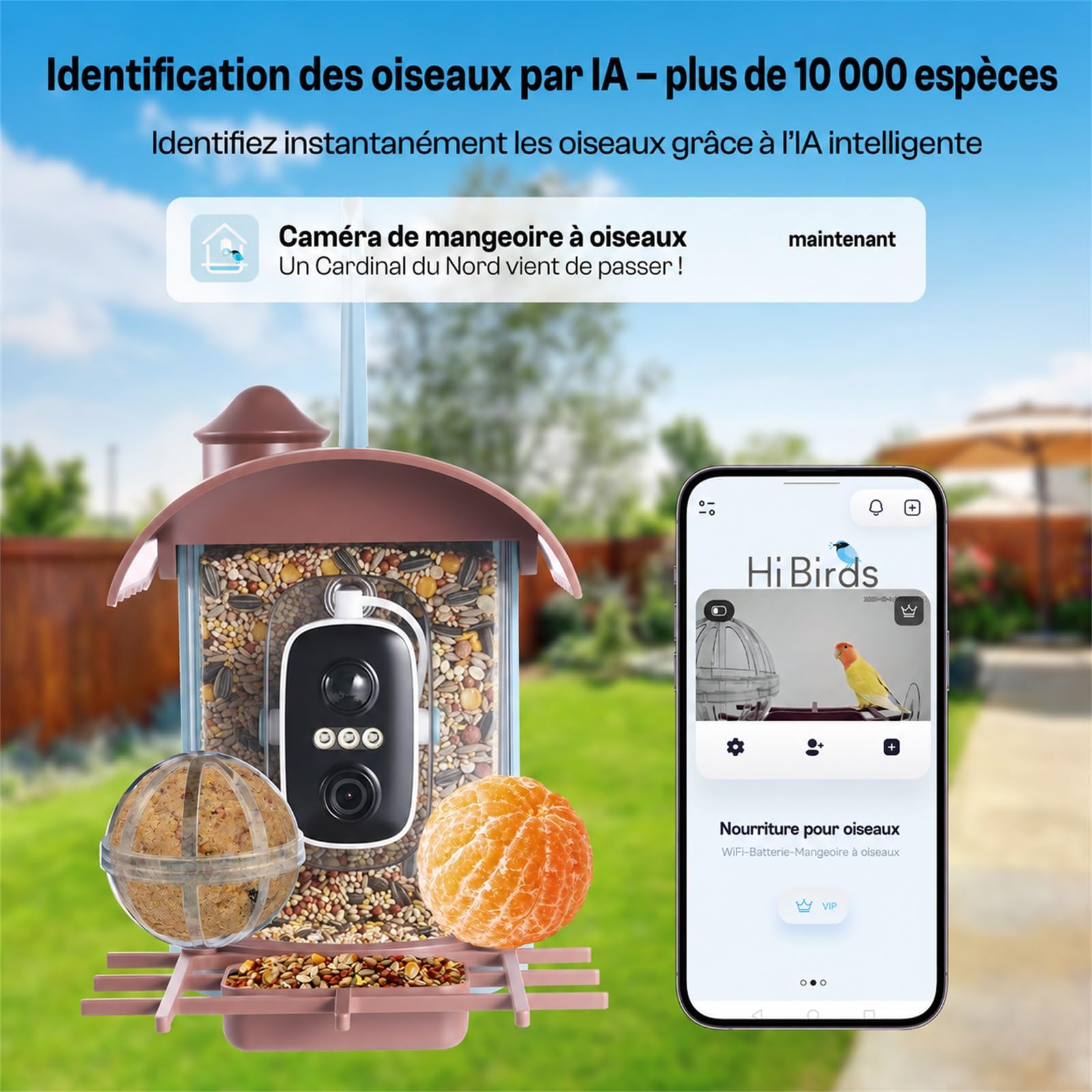 Nichoir à Oiseaux avec Caméra 4MP Solaire mangeoire Station d'alimentation Enregistrement vidéo Photo Identification IA Détection Mouvement Notification