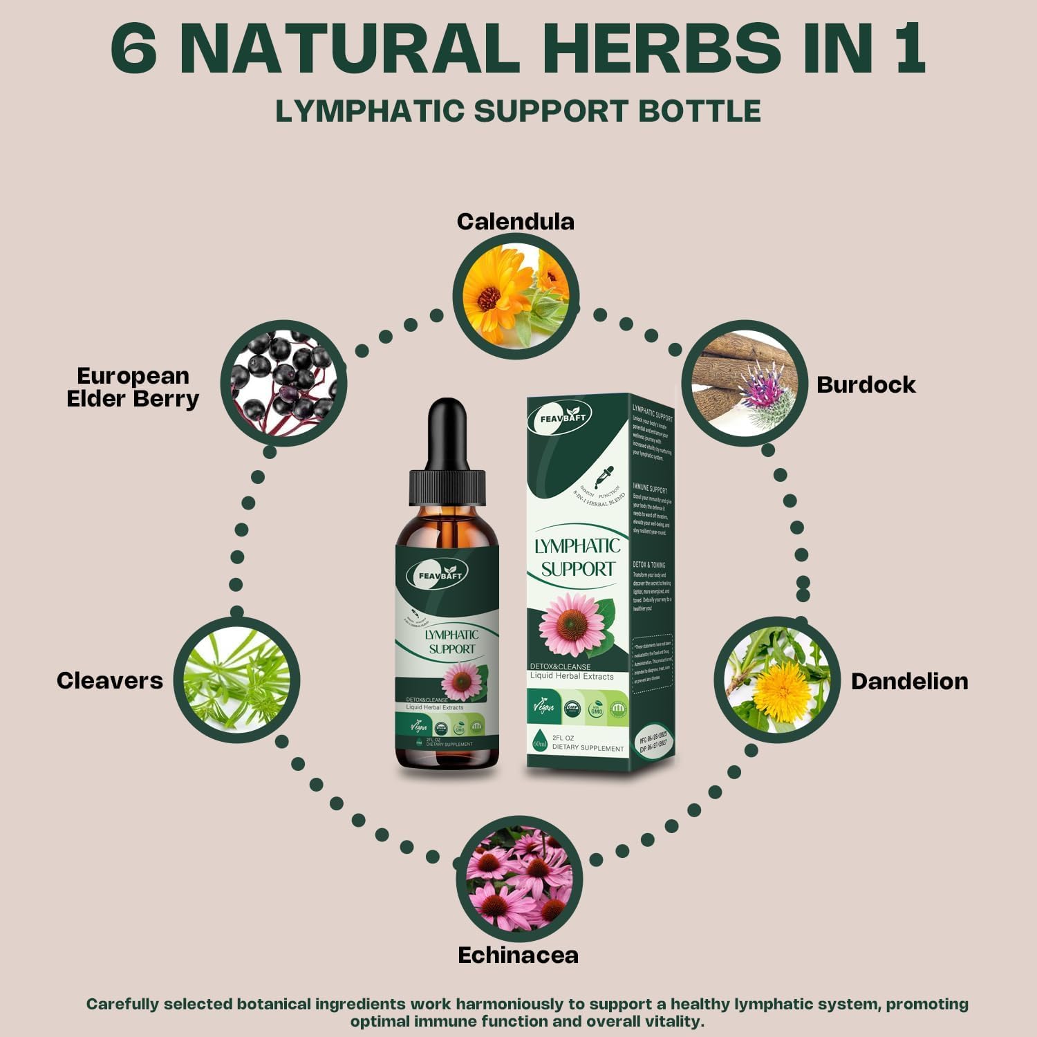 Liposomal Lymphatic Drainage Drops - Lymph Detox Cleanse & Immune Support with-Echinacea, Dandelion, Burdock-Supports Lymphatic Health 2 FL.OZ - Image 6