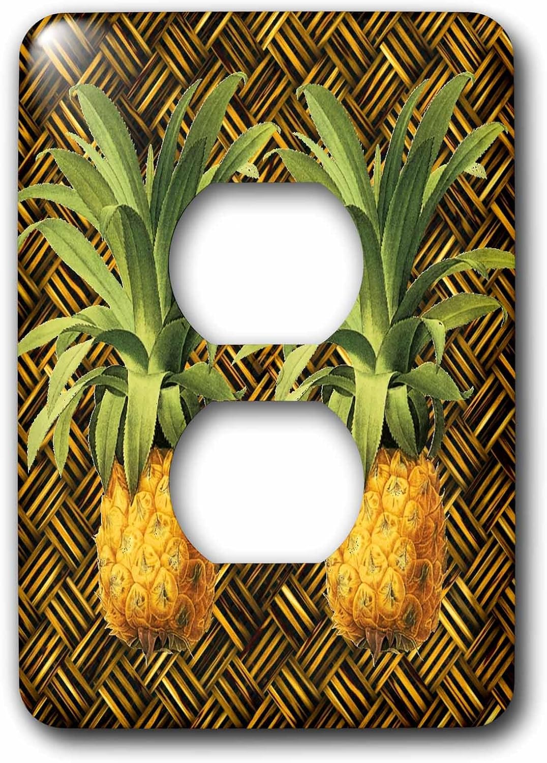 3dRose lsp_220881_6 A Pair of Juicy Tropical Pineapples Botanical Illustration - 2 Plug Outlet Cover