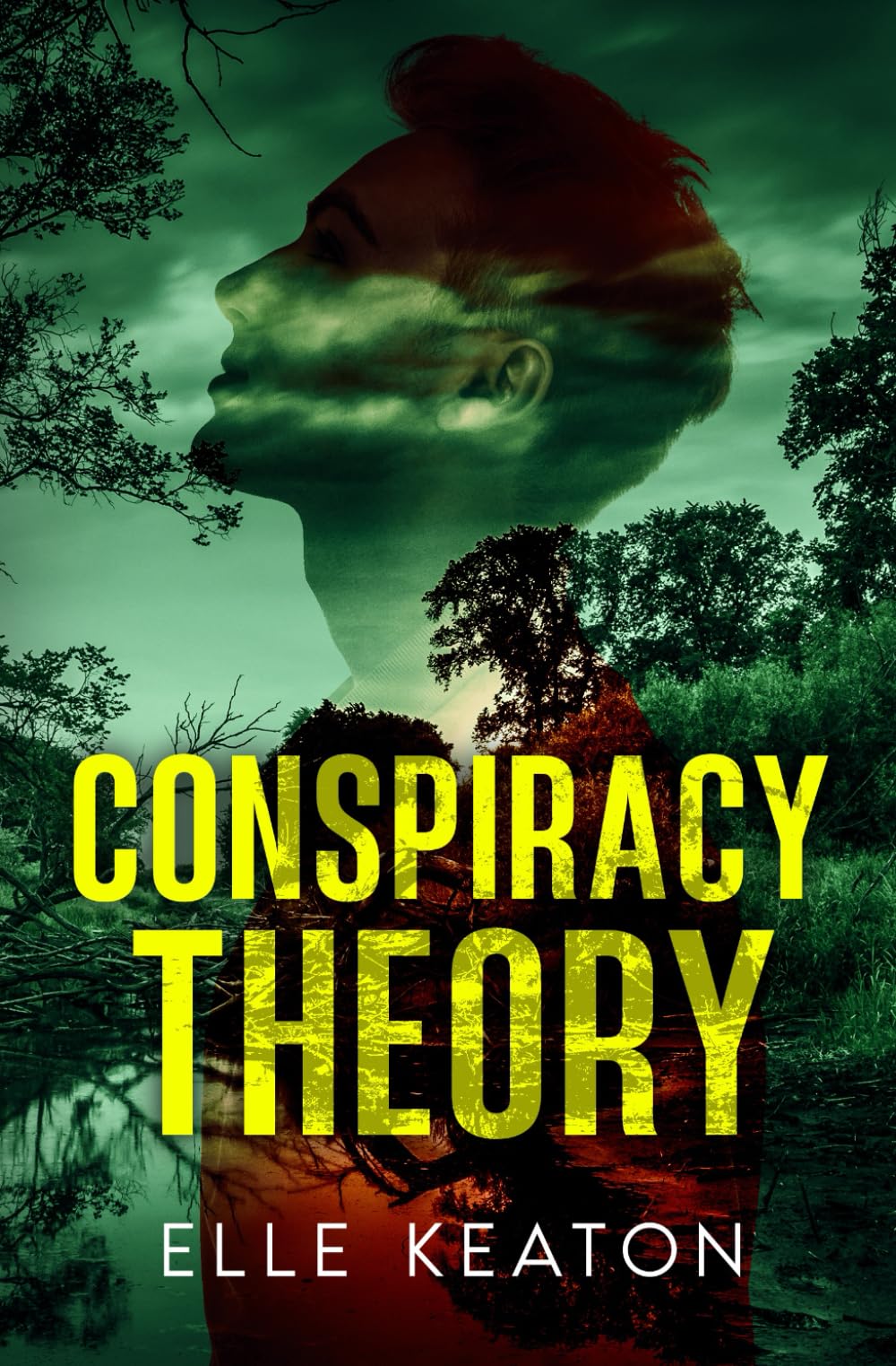 Conspiracy Theory (Veiled Intentions)