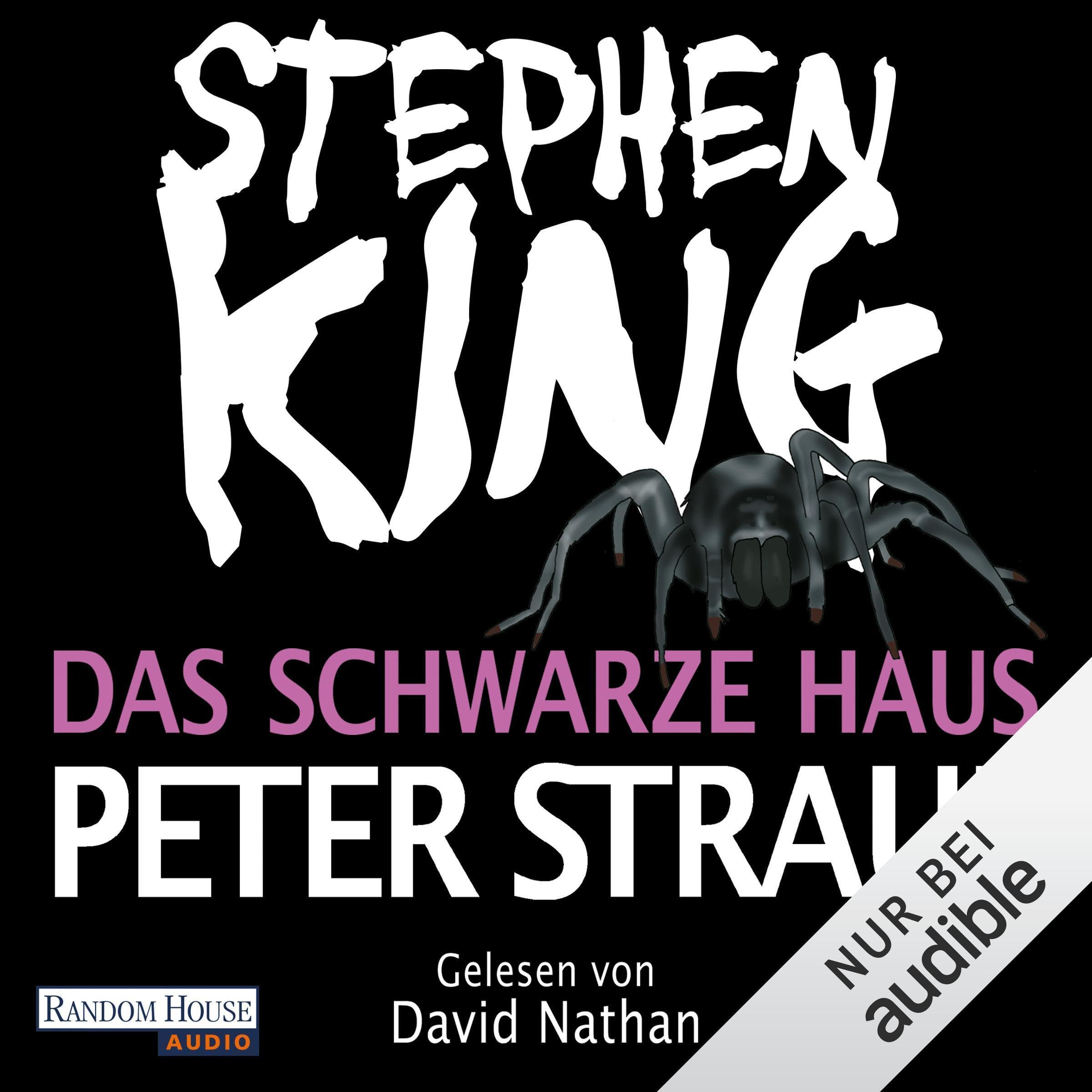Cover art for Das schwarze Haus