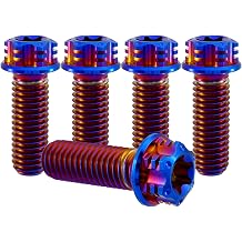 RISON Titanium Bolts M8*1.25 * 20 Torx Titanium Bolts for Motorcycles Hex Head Dual Drive Burnt Blue Titanium Flange Bolt Pack of 5