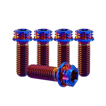 RISON Titanium Bolts M8*1.25 * 20 Torx Titanium Bolts for Motorcycles Hex Head Dual Drive Burnt Blue Titanium Flange Bolt Pack of 5