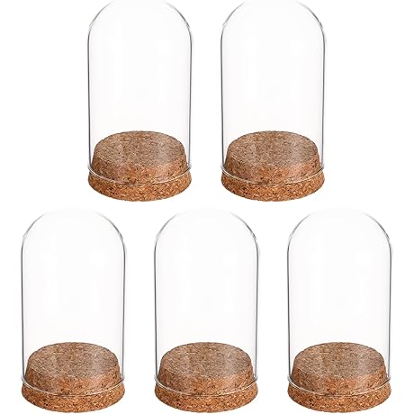 La Cupula: Glass Dome with Cork Base for Weddings, Decor, Display