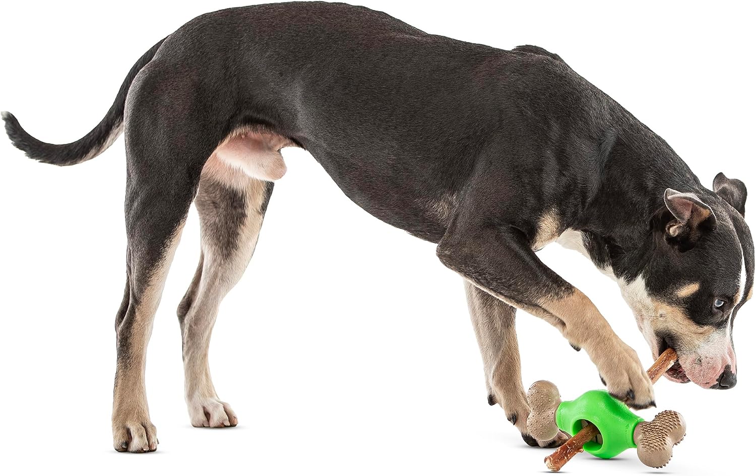 GURU Pet: Adjust-A-Chew - Medium - Dog Toy, Holds Various Shaped Treats & Bones, Bacon-Flavored Textured Ends, Durable Bone-Shaped, Interactive Play