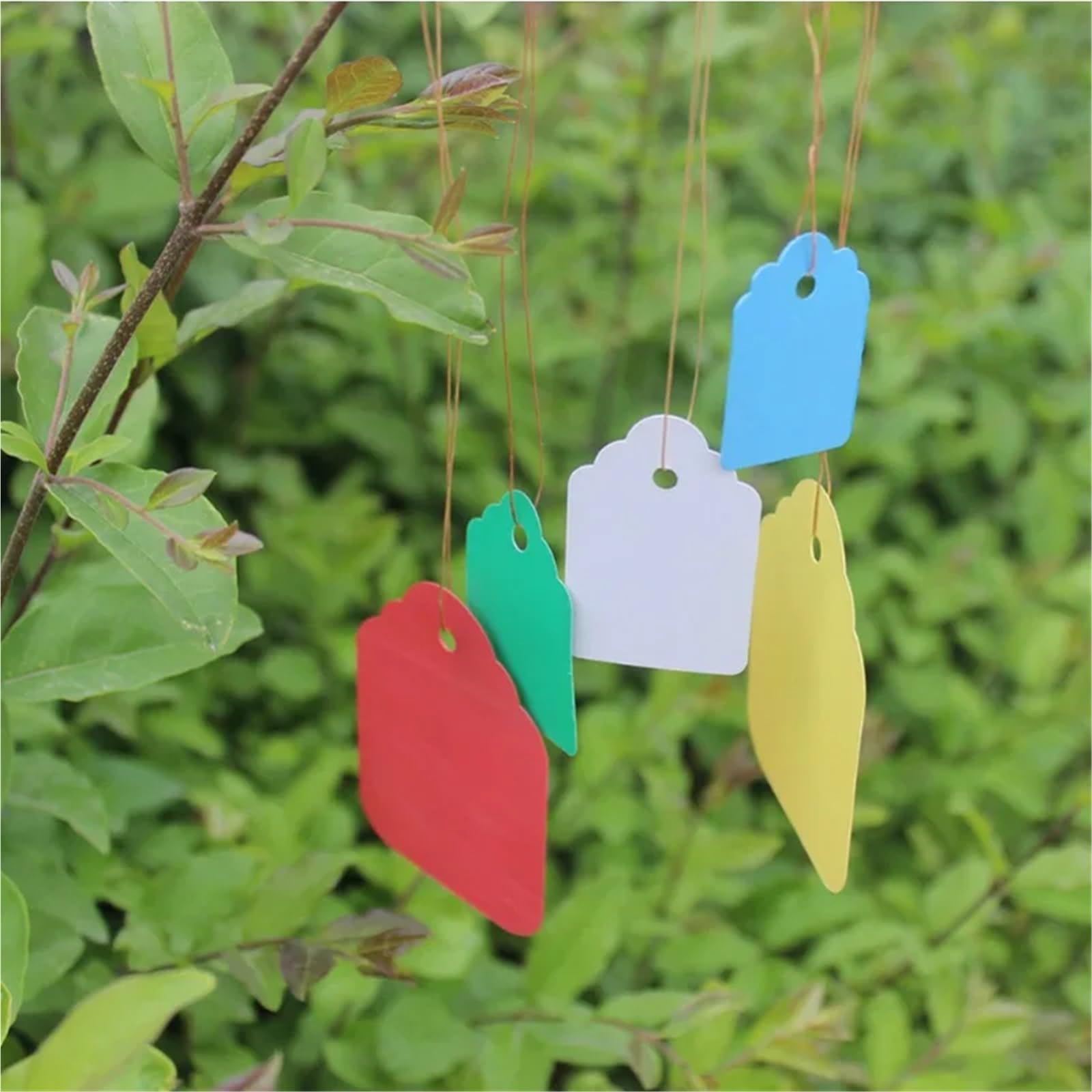 100 Stück Kunststoff-Pflanzenetiketten mit Mini-Gartenetiketten für Pflanzen Blumen