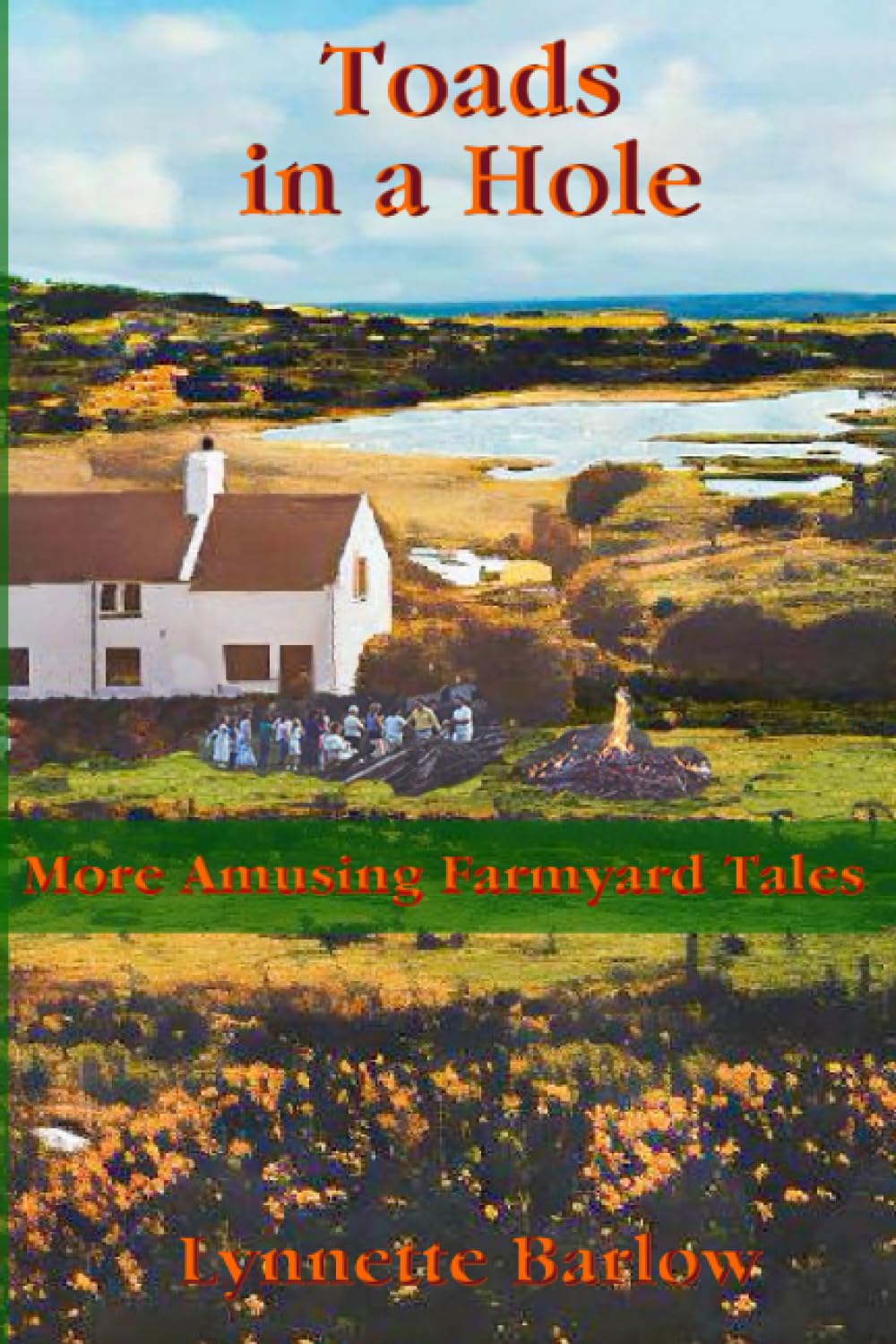 Toads in a Hole: More Amusing Farmyard Tales