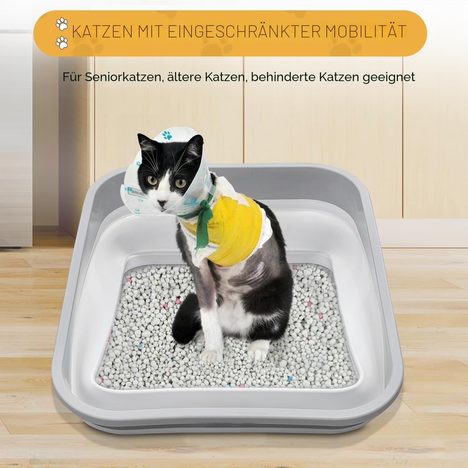 Katzentoilette für ältere Katzen, dreibeinig, arthritisch, offener niedriger Einstieg für kranke, gebrechliche behinderte Katzen, ältere ältere Menschen (eine Packung)