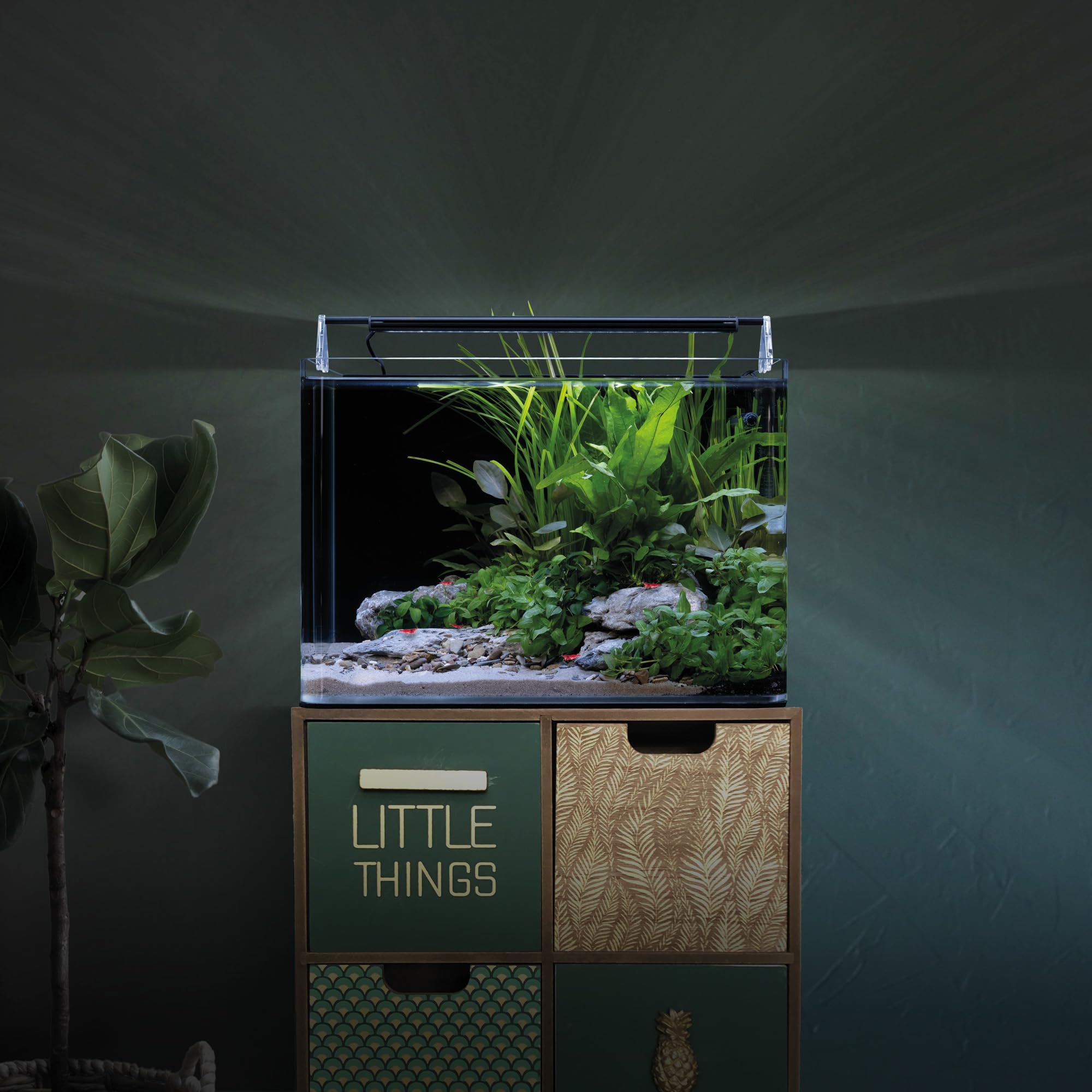 Dennerle Nano Tank Complete, 35 Liter - 40 x 32 x 28 cm - Nano Aquascaping Aquarium