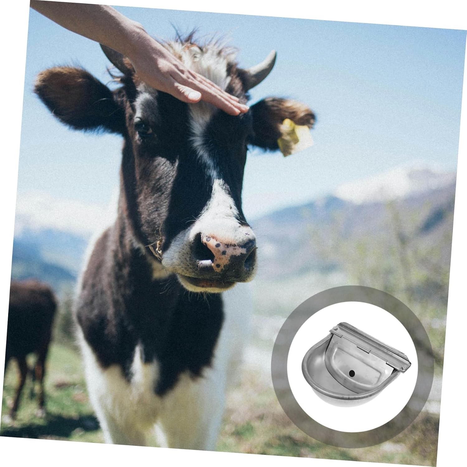 Mikikit 1kg Farm Grade Automatic Water Bowl Pet Water Dispenser for Livestock Stainless Steel Capacity