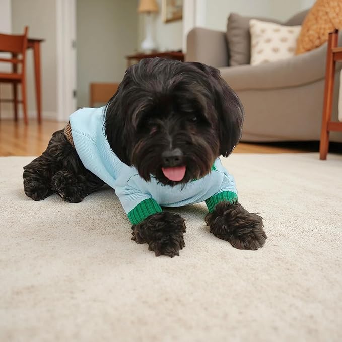 Suéter de punto para perro invierno azul claro con estampado de frutas rojas XS miniatura 8