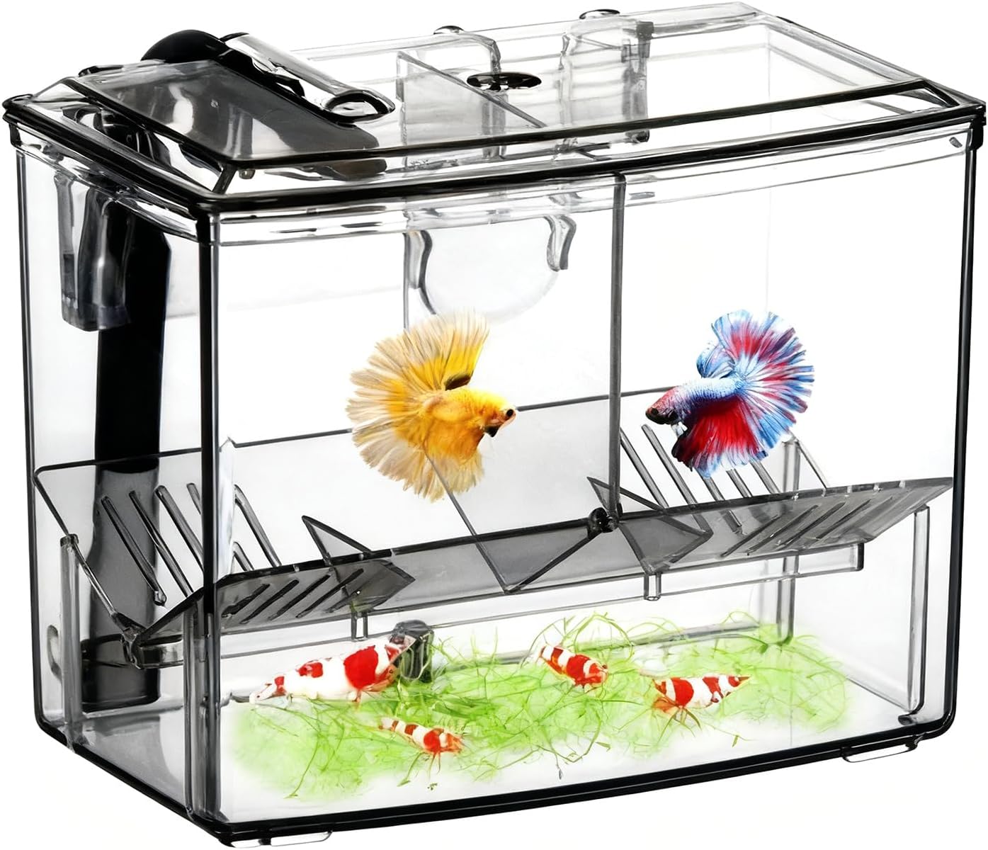 External Aquarium Breeder Box for Fishtank Breeding Incubator Hatchery Spawning Box Separation Tanks Hatchery Container