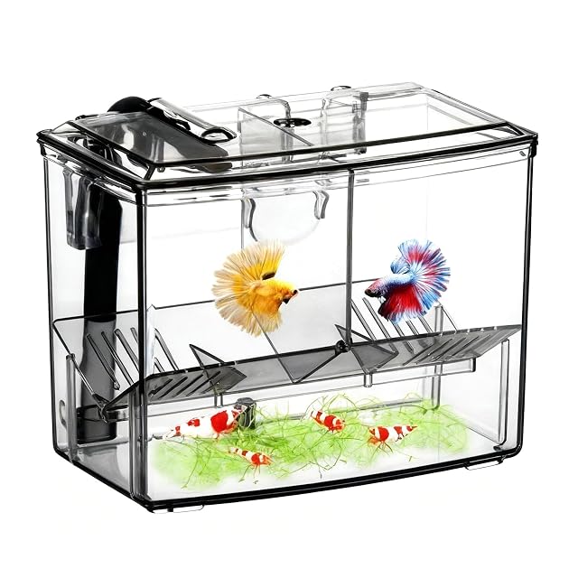 Foto 2 de 8 de Caja externa de cría de peces, incubadora transparente para recién nacidos, aislamiento