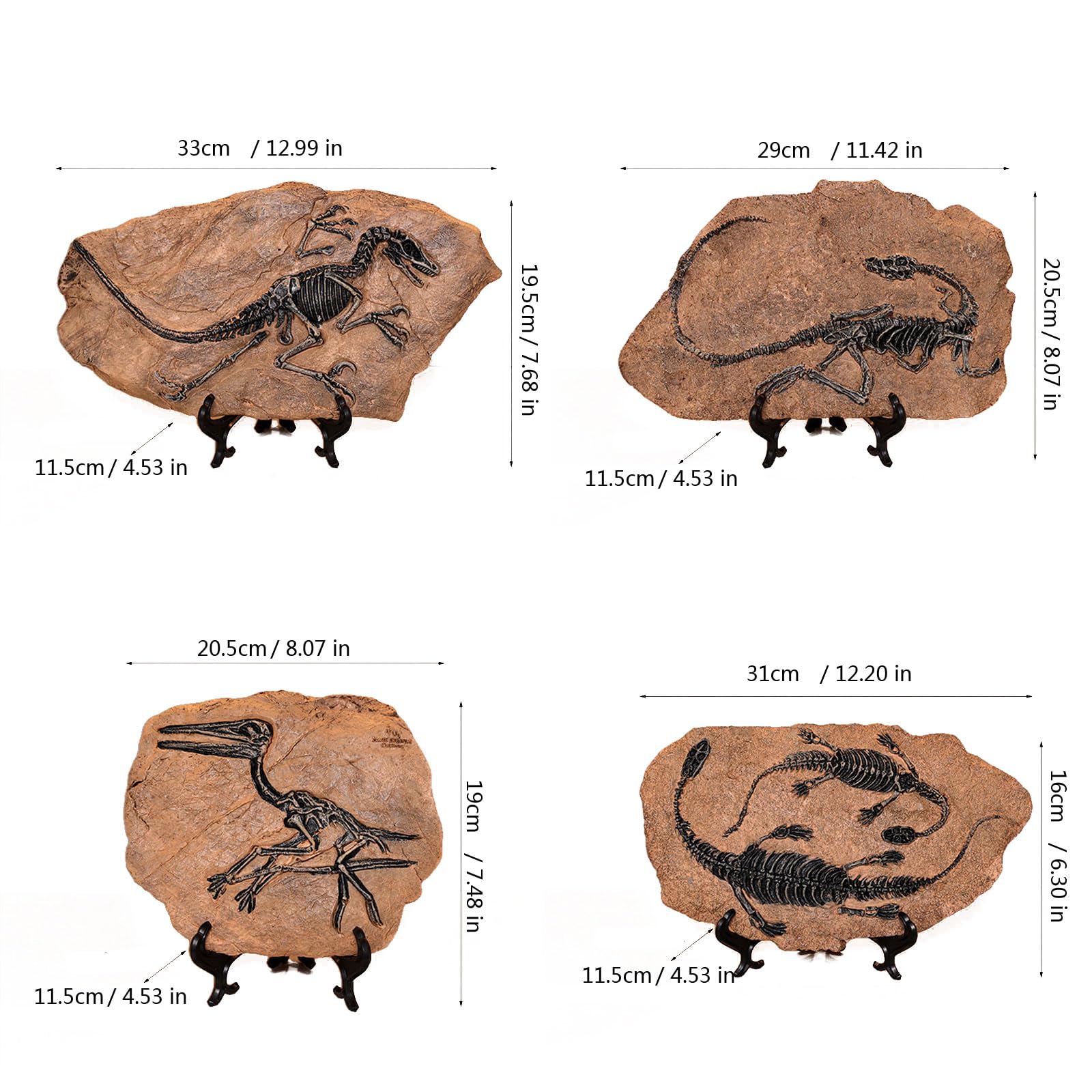 Harze Fossilien Dinosaurier Modell Realistische Skelett Repliken Statue Dekoration Für Home Office Desktop Regal Sammler Dekoration