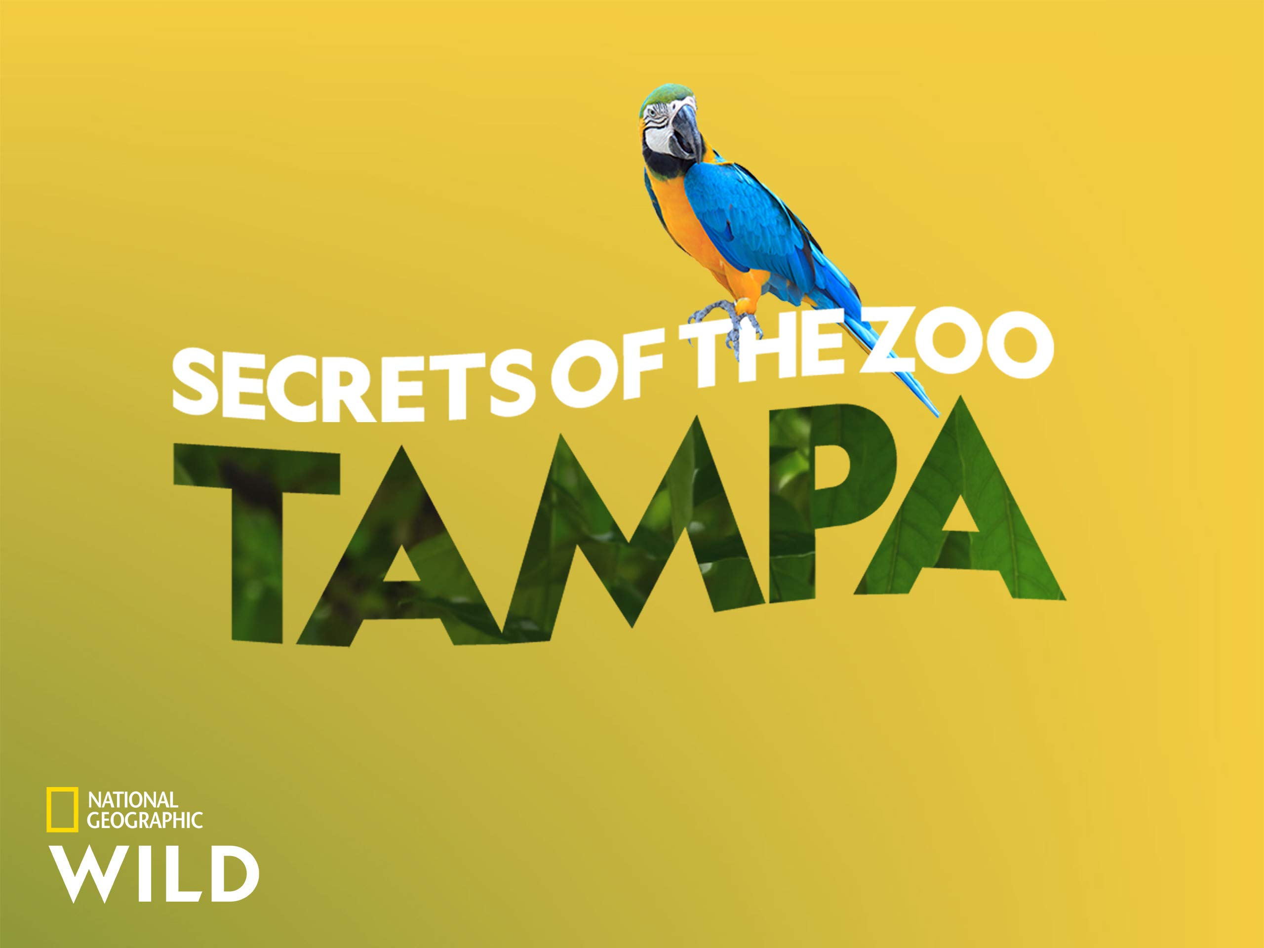 Watch Secrets of the Zoo Tampa Season 2 Prime Video