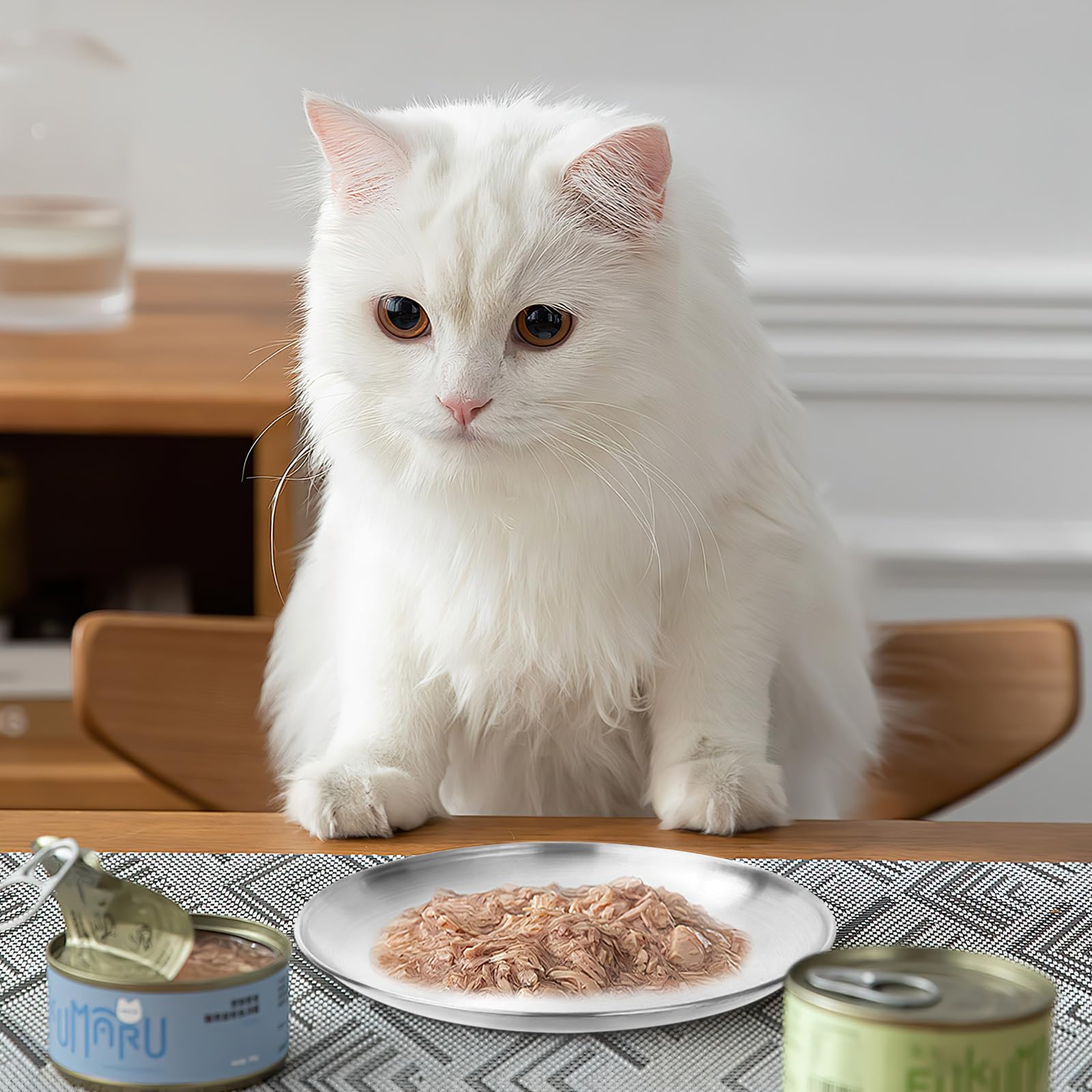 3 ciotole piatte per gatti in acciaio inox 14 cm Surefeed a prova di caduta